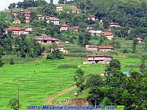 Zelen� terasy zraj�c� r��e v Kavre