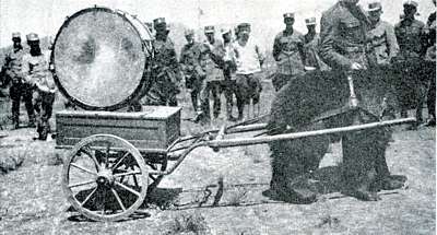 Medv�d M�a t�hne buben. Kdesi na Sibi�i, kolem roku 1918.