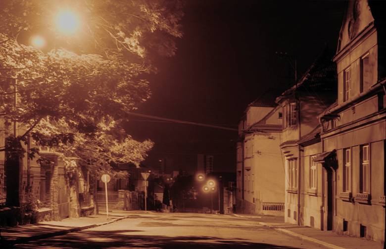 Purky�ova ulice