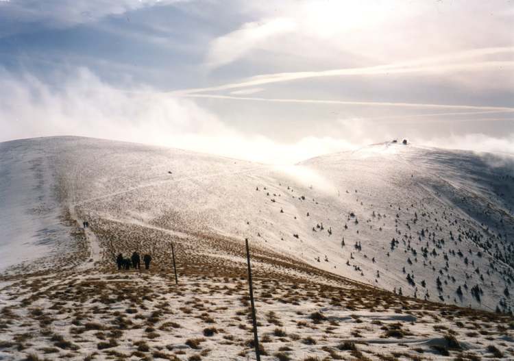 Velk� Fatra v �noru 2001 - cesta po h�ebenu z Kr�nej na Ostredok