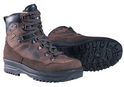 Jak�si bota. Proto�e jsem tento obr�zek ukradl z webu Alpinusu, d�v�m sem taky odkaz, ale podobn� se d� koupit i jinde.