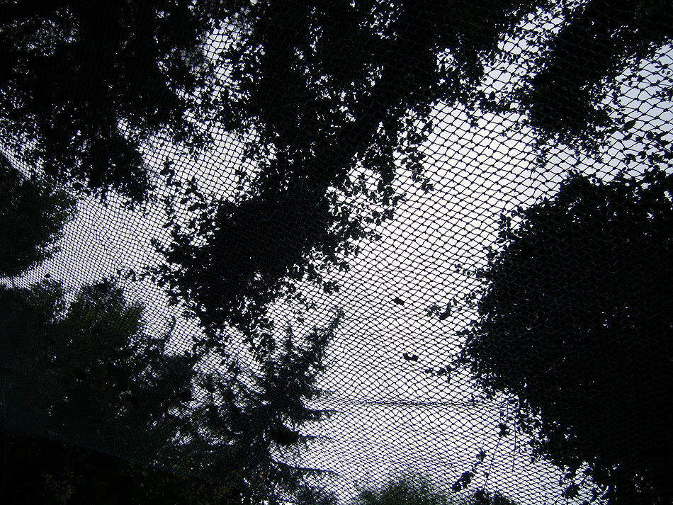 [Manali]