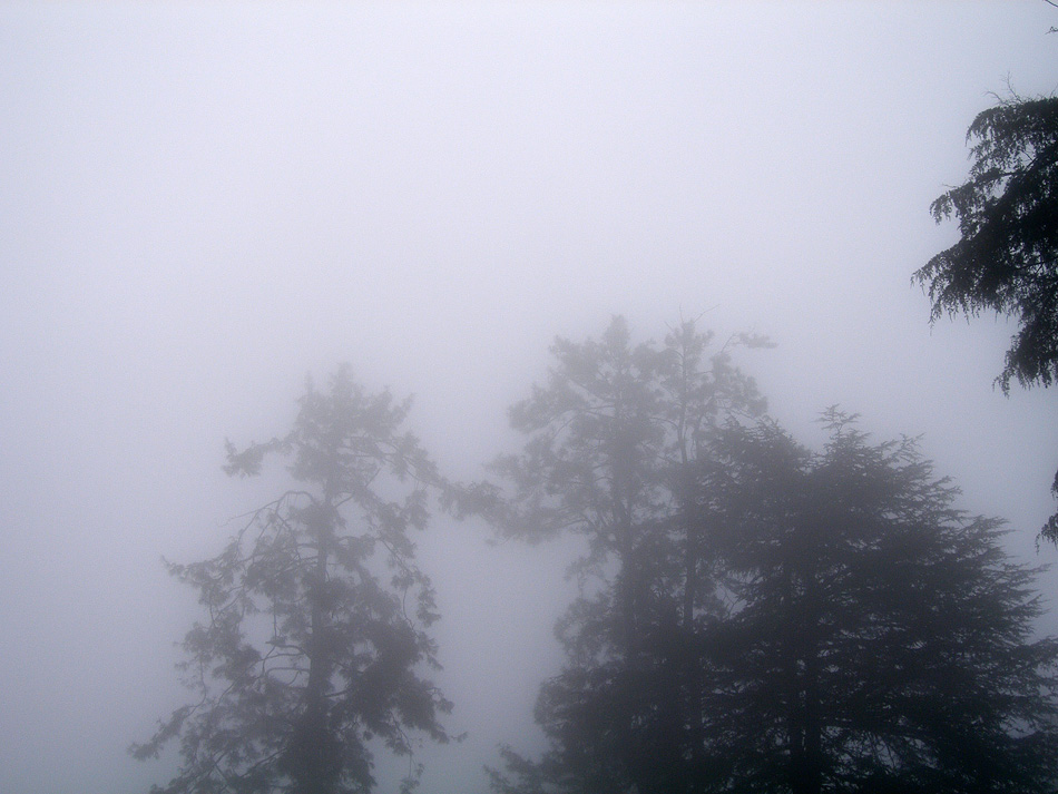 [Shimla]