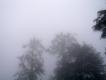 [Shimla]