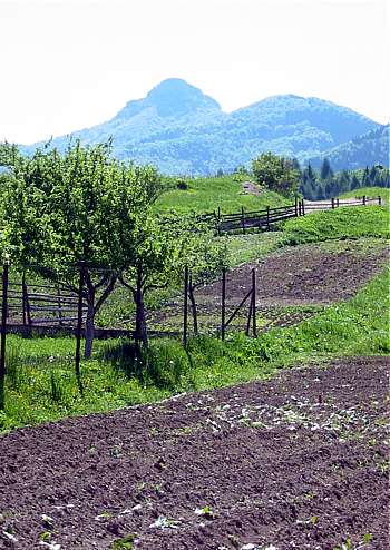 Kľak (1352) z Fačkova
