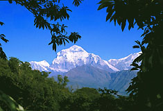 Langtang