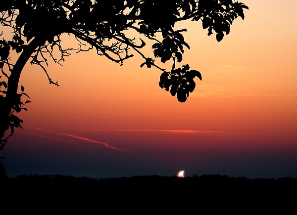 Zatm�n�, fotografovala sestra